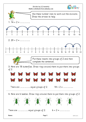 Preview of worksheet Divide by 2 (insects)