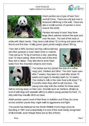 Preview of worksheet Giant panda (2)
