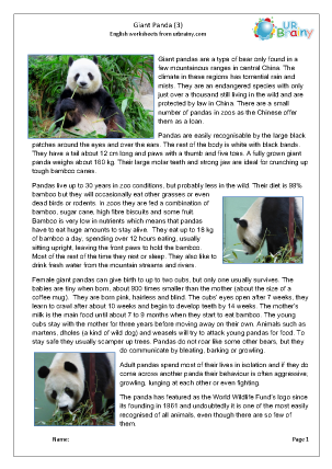 Preview of worksheet Giant panda 3