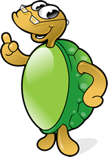 Tommy Turtle Pointing