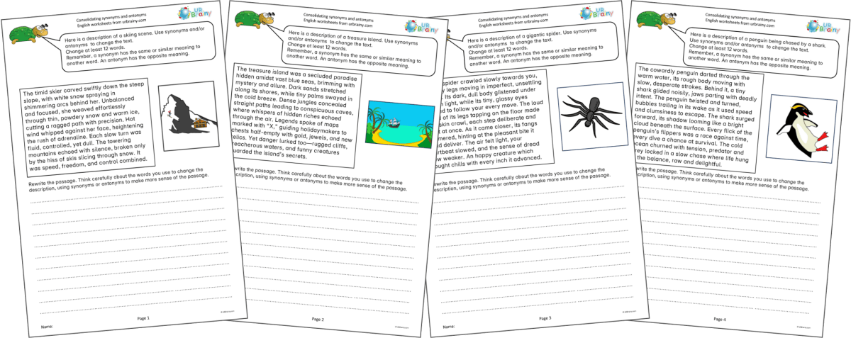 Synonyms and Antonyms